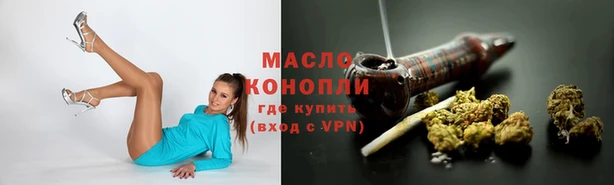 молекула духа Кинешма