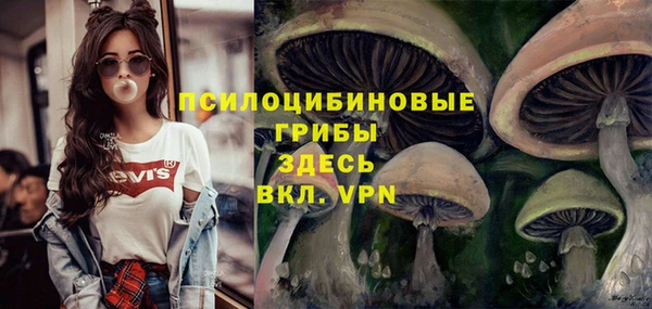 мет Кедровый