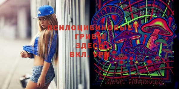 молекула духа Кинешма