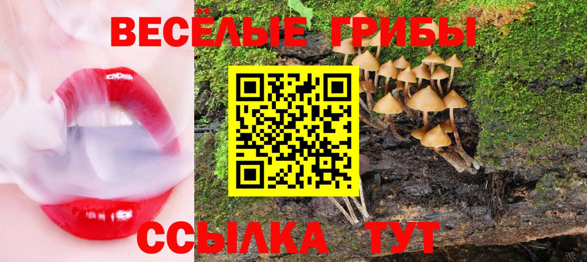Северск  Галлюциногенные грибы Cubensis  Вход с VPN 