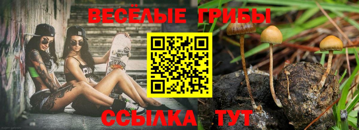 Галлюциногенные грибы GOLDEN TEACHER Северск