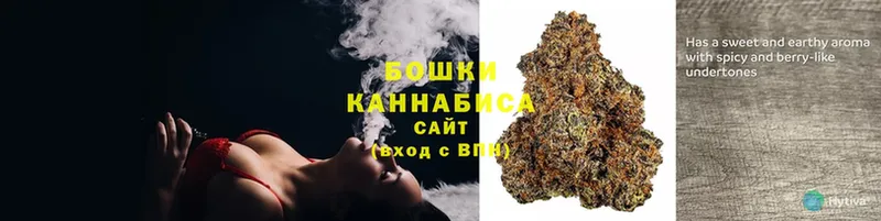 Шишки марихуана сатива  Северск 