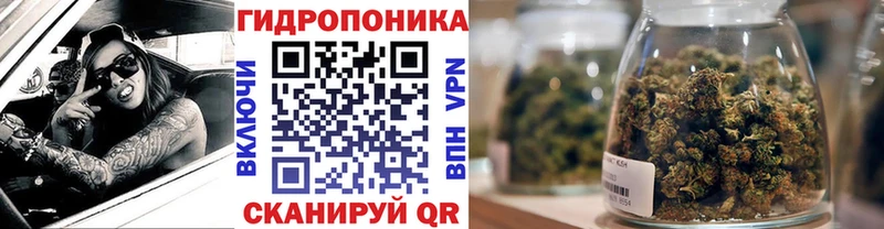 shop Telegram  Северск  Конопля сатива 